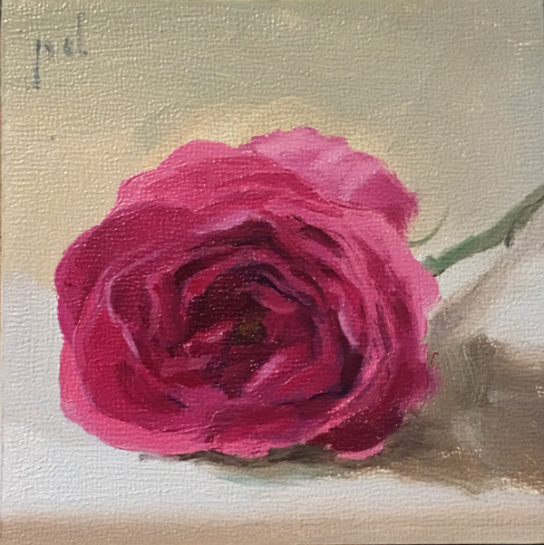 Crimson Rose oil painting copyright 2017 Peter Dickison