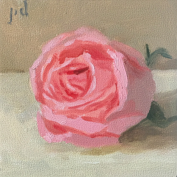 Pink Rose 2 oil painting copyright 2017 Peter Dickison
