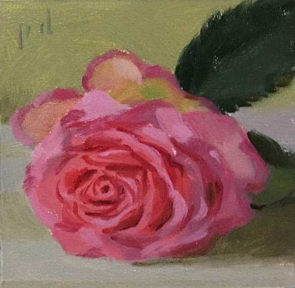 Pink and Green Rose With Leaf oil painting copyright 2017 Peter Dickison