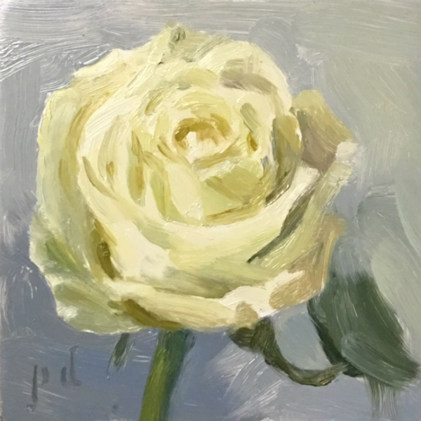 Creamy Rose oil painting copyright 2017 Peter Dickison