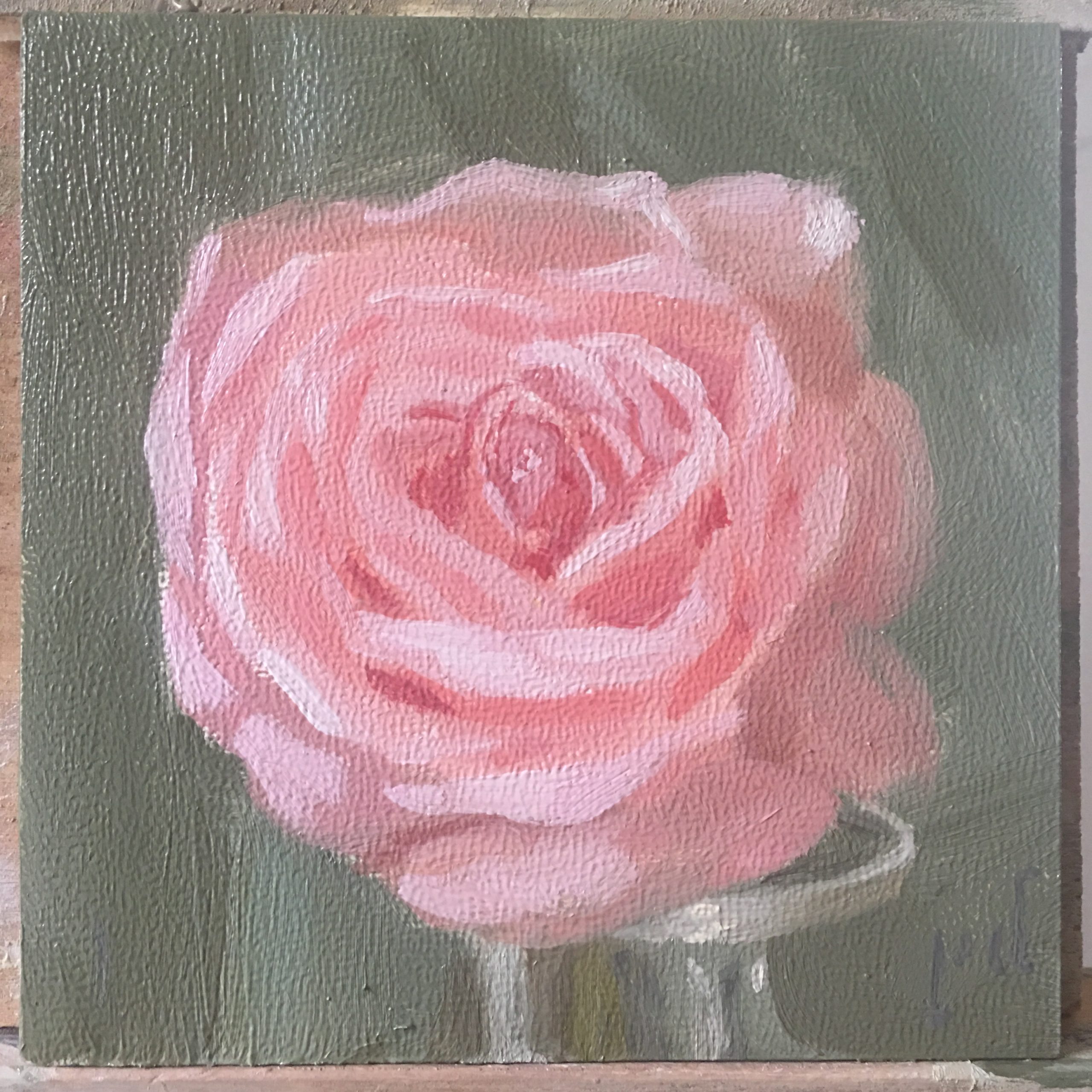 Pink Heart Rose oil painting copyright 2017 Peter Dickison