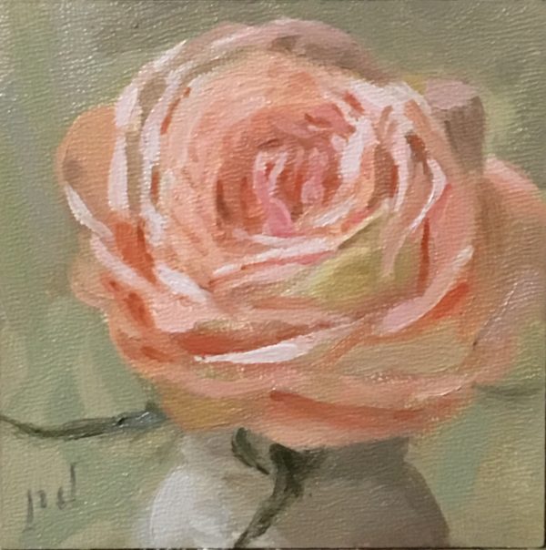 Coral Pink Rose oil painting copyright 2017 Peter Dickison
