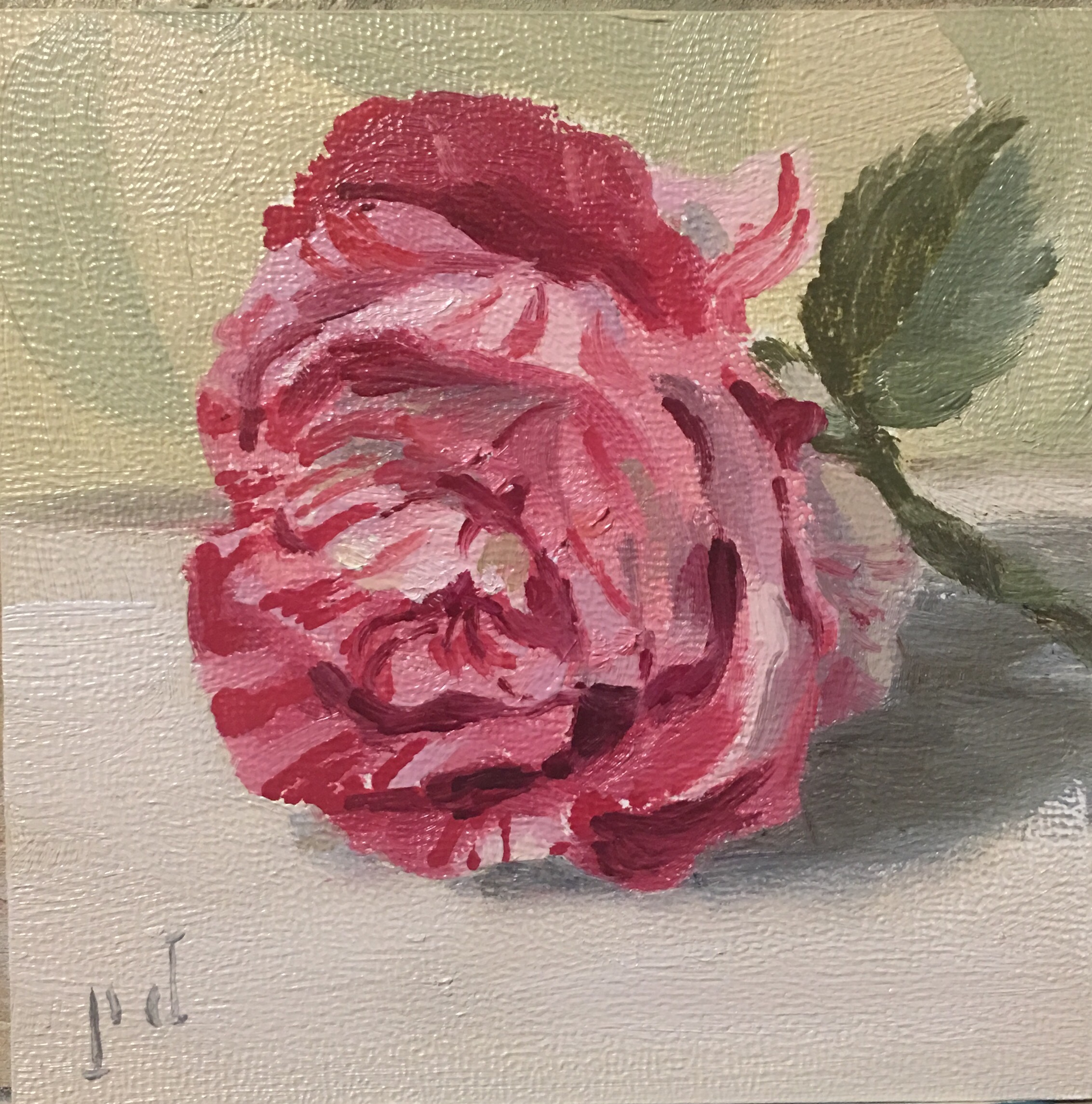 Candy Stripe Rose oil painting copyright 2017 Peter Dickison