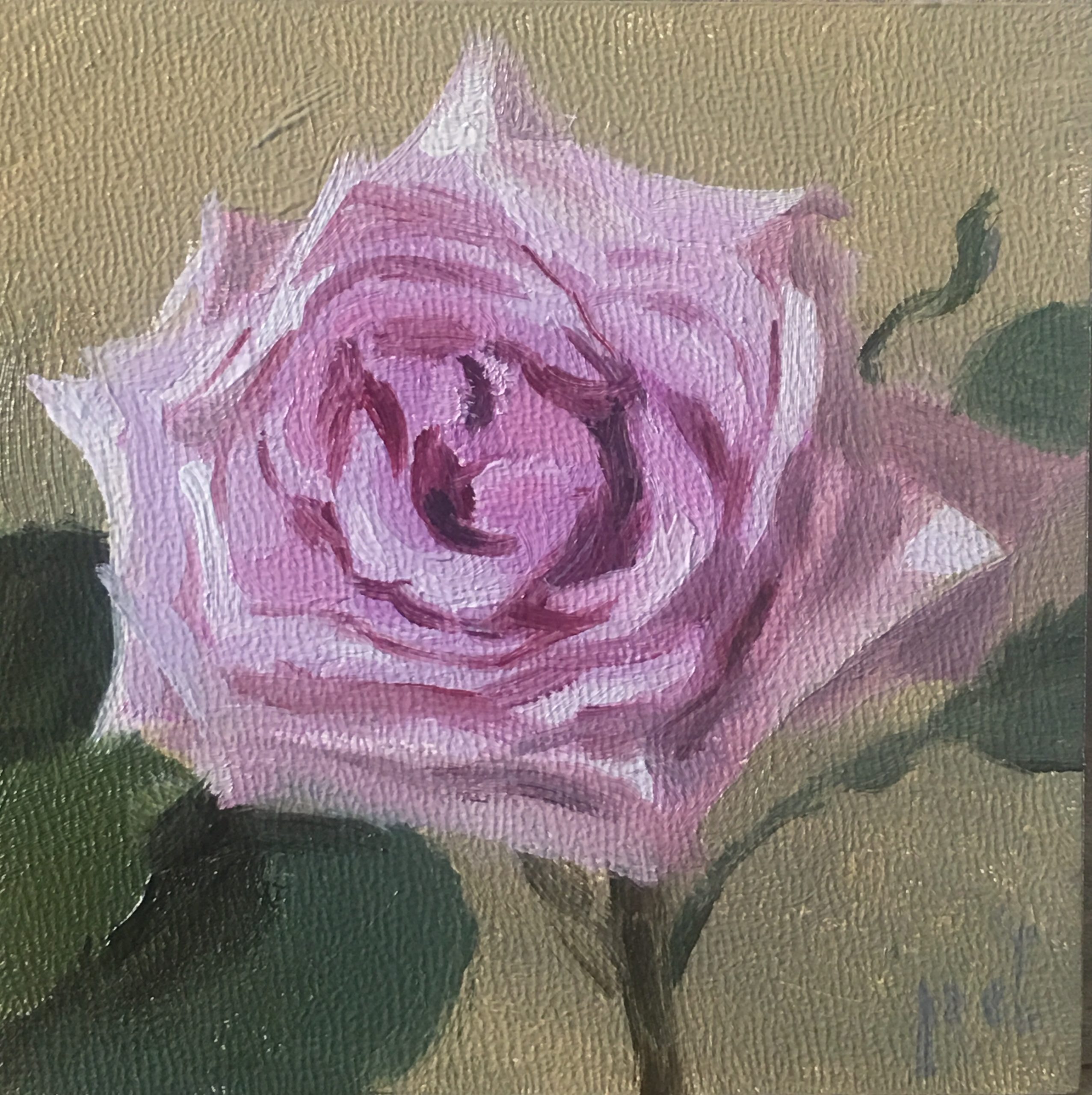 Lilac Rose oil painting copyright 2017 Peter Dickison