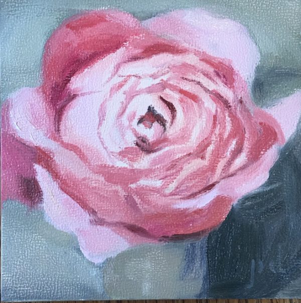 Petite Rose oil painting copyright 2017 Peter Dickison