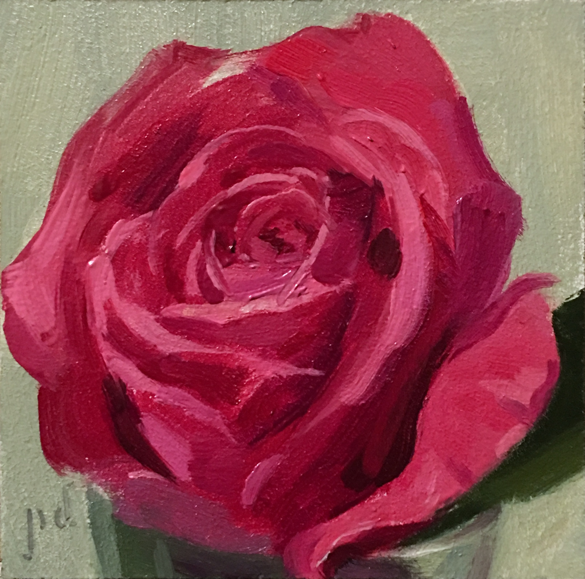 Petite Rose oil painting copyright 2018 Peter Dickison