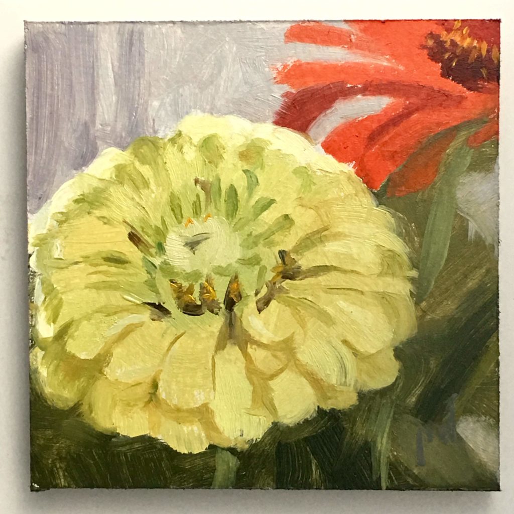 Starburst Zinnia oil painting by Peter Dickison
