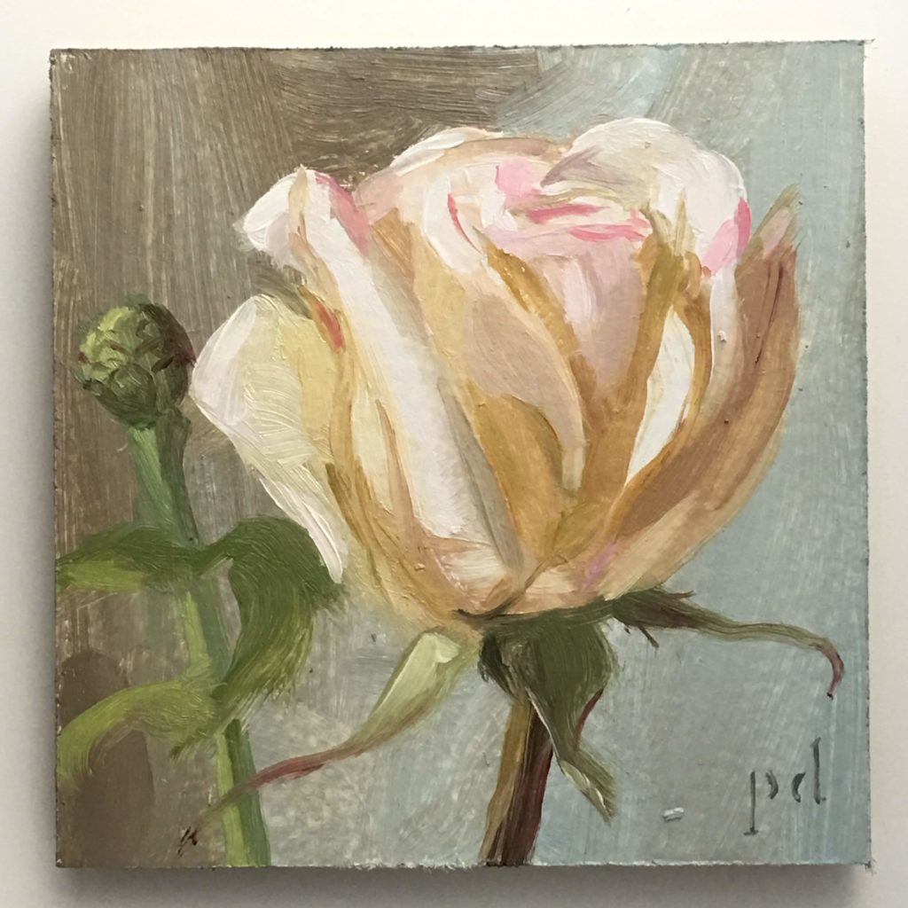 Rose Touched With Pink oil painting by Peter Dickison